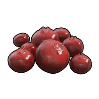 an image of the Palworld item/resource Red Berries