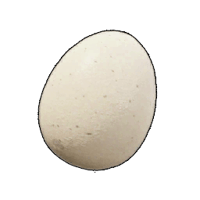an image of the Palworld item Egg