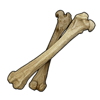 an image of the Palworld item Bone