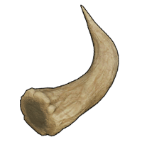 an image of the Palworld item/resource Horn